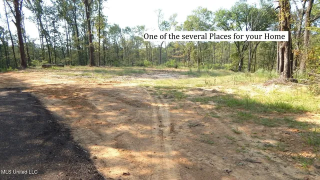$395,000 | 2380 213th Road, Unit COUNTRY, Grenada, MS 38901