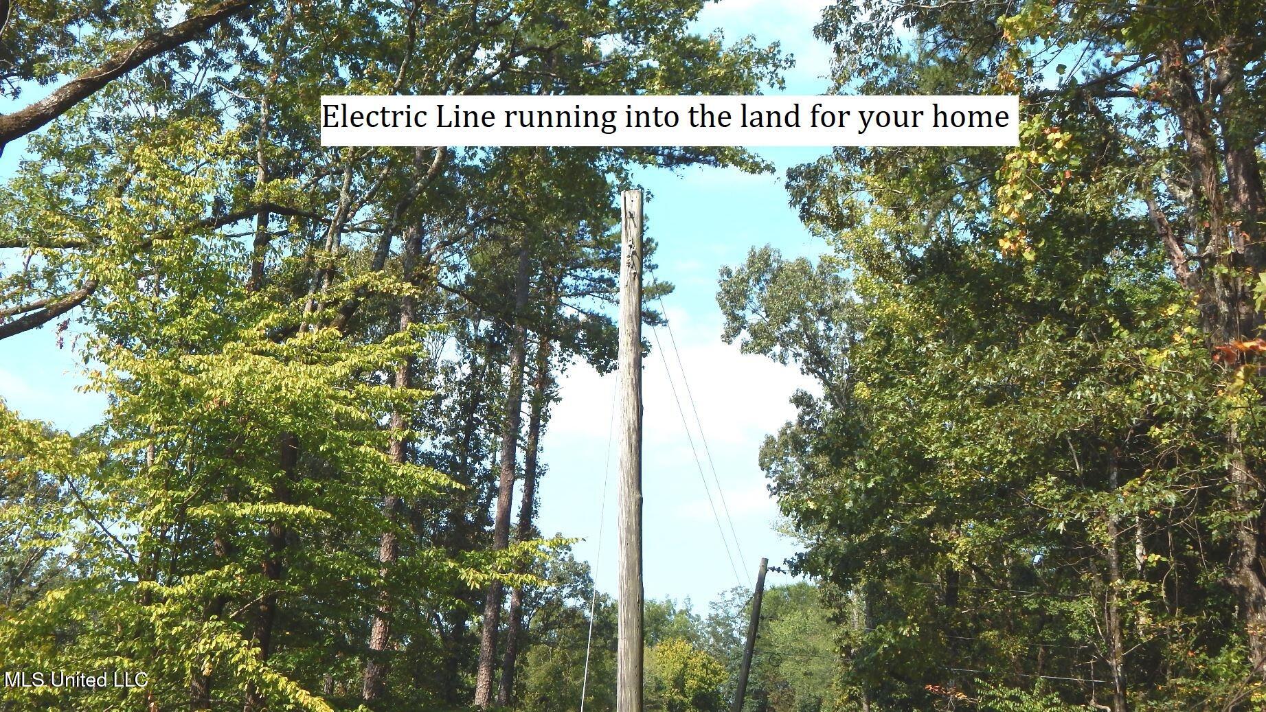 2380 213th Road, Unit COUNTRY Grenada, MS 38901 - Photo 6 of 49 DSCN7270