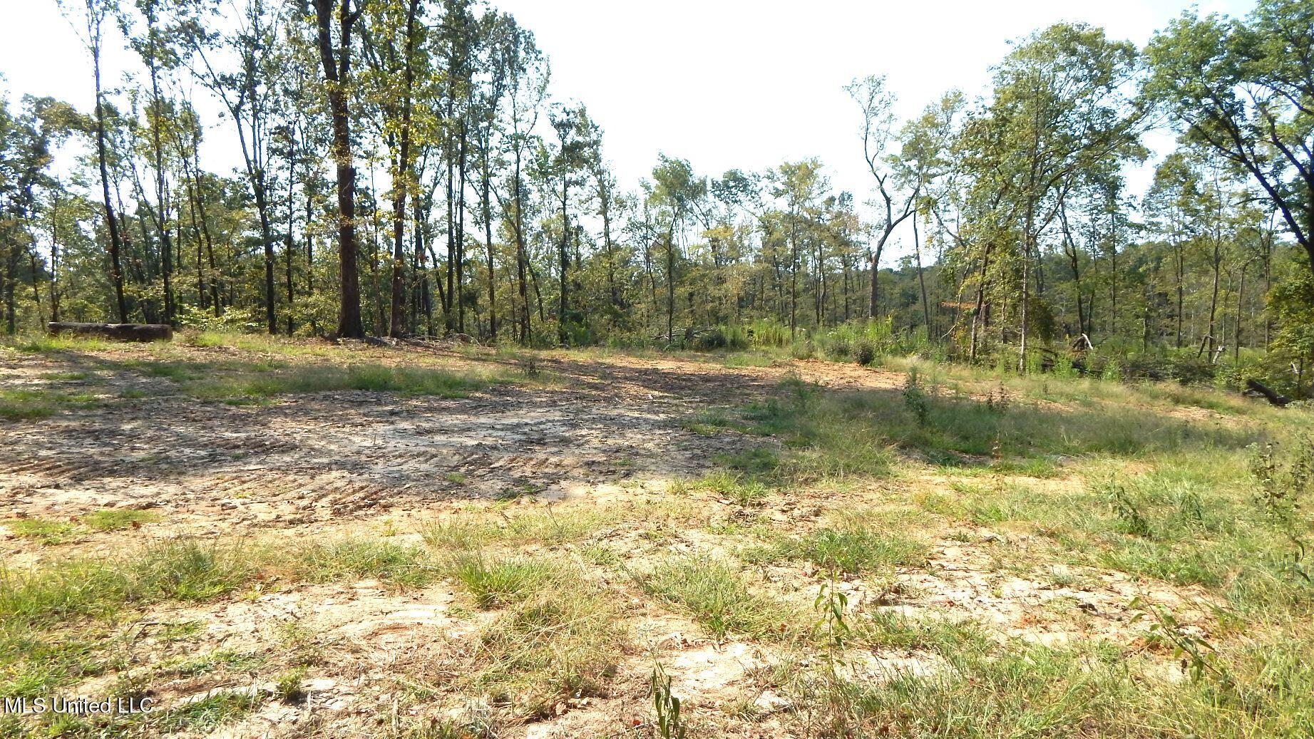 2380 213th Road, Unit COUNTRY Grenada, MS 38901 - Photo 7 of 49 DSCN7271