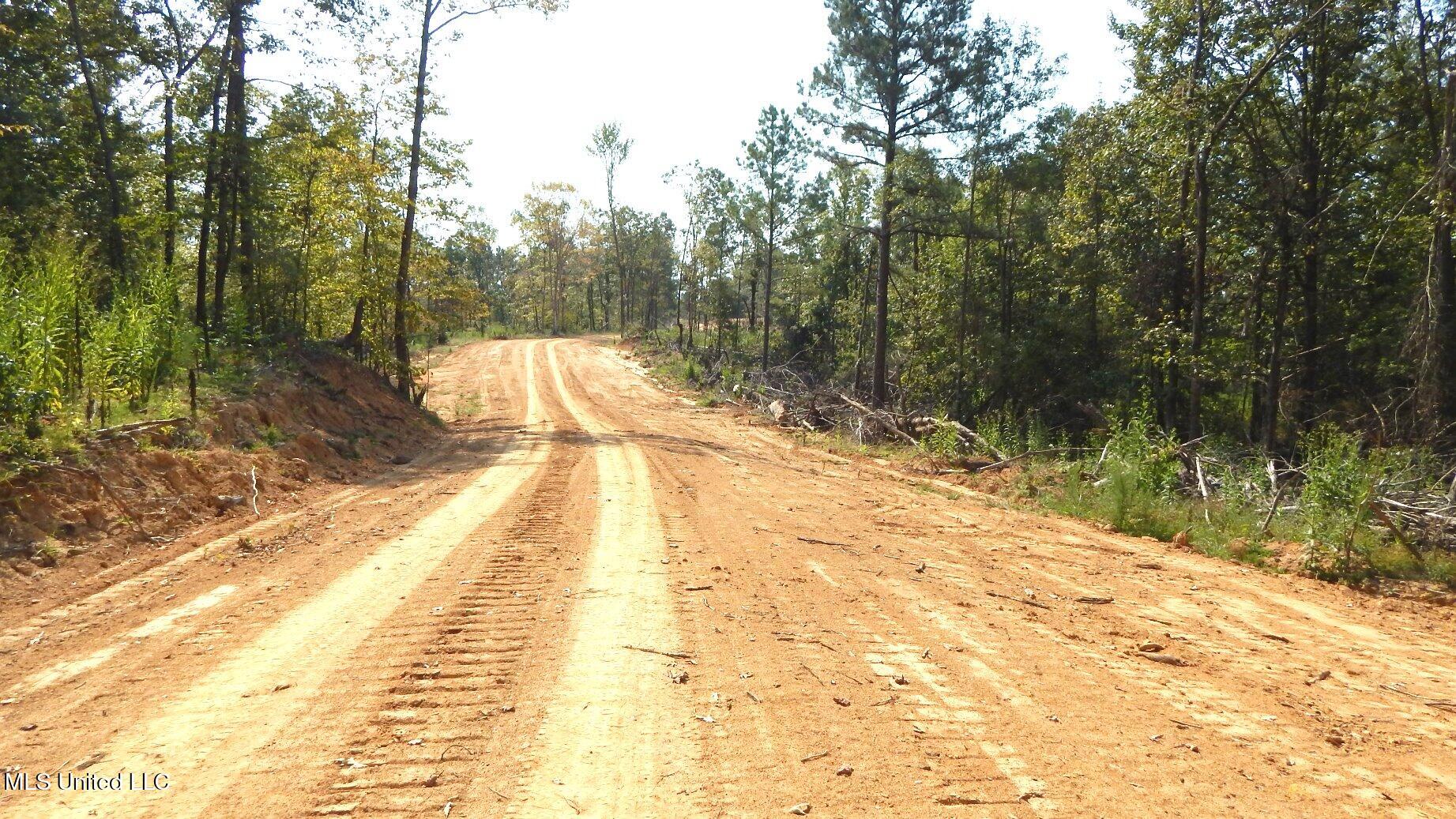 2380 213th Road, Unit COUNTRY Grenada, MS 38901 - Photo 8 of 49 DSCN7272
