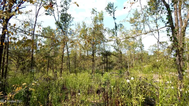 $395,000 | 2380 213th Road, Unit COUNTRY, Grenada, MS 38901