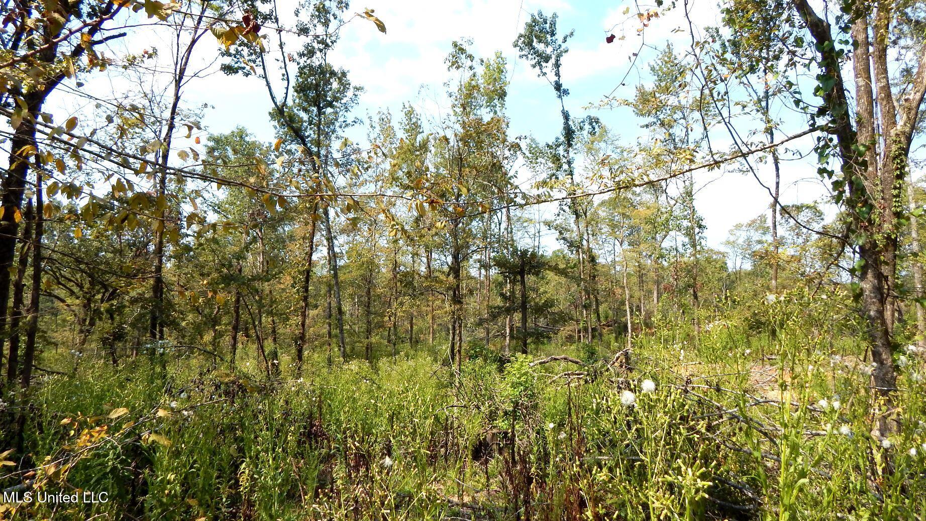 2380 213th Road, Unit COUNTRY Grenada, MS 38901 - Photo 9 of 49 DSCN7273