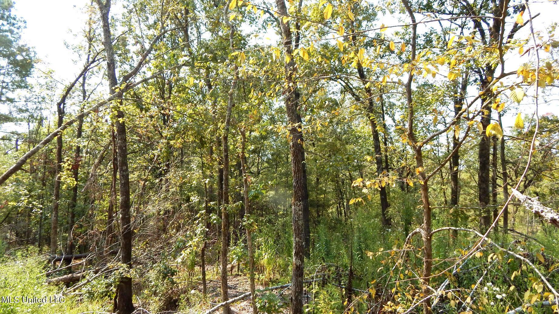 2380 213th Road, Unit COUNTRY Grenada, MS 38901 - Photo 10 of 49 DSCN7274
