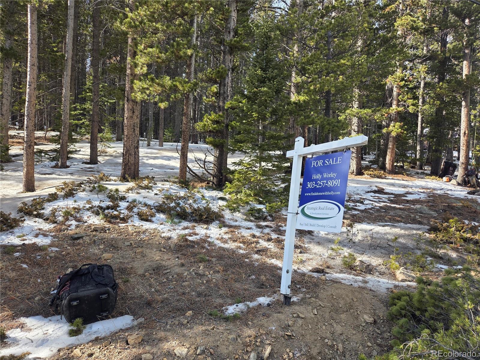 293 Beaver Road Idaho Springs, CO 80452 - Photo 1 of 6 a backyard of a house with lots of green space