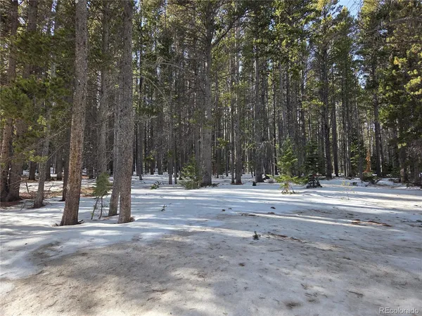 a view of a park with trees