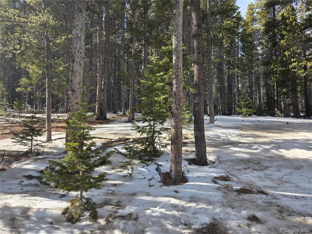 $40,000 | 293 Beaver Road, Idaho Springs, CO 80452