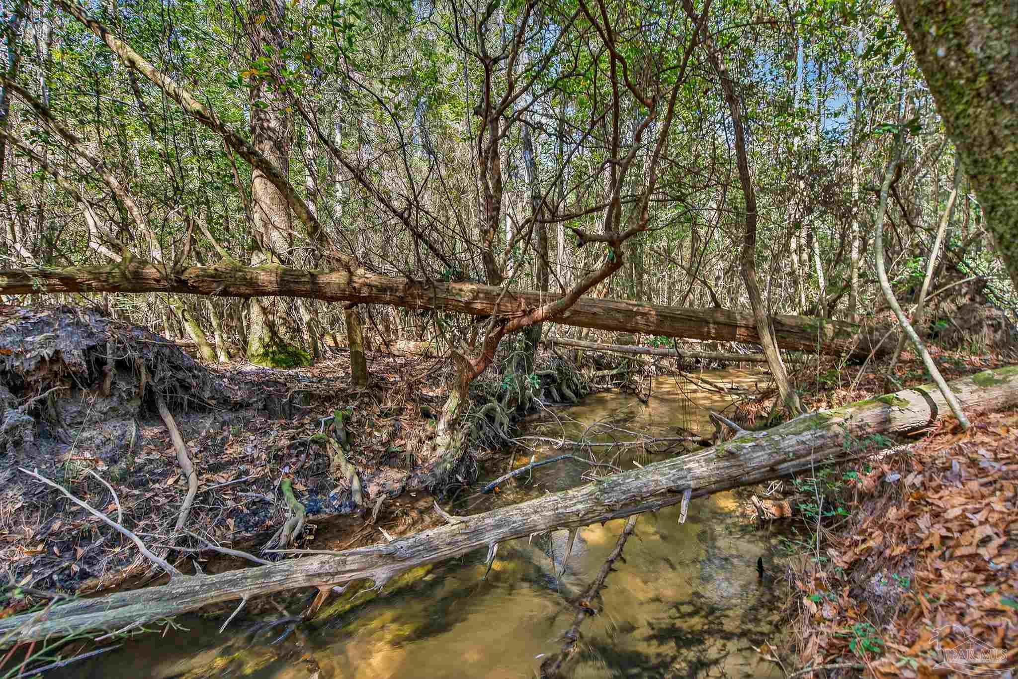 2248 Wallace Lake Road Pace, FL 32571 - Photo 50 of 61