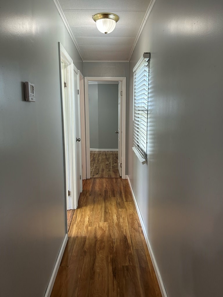 475 Gary Road Slocomb, AL 36375 - Photo 20 of 59
