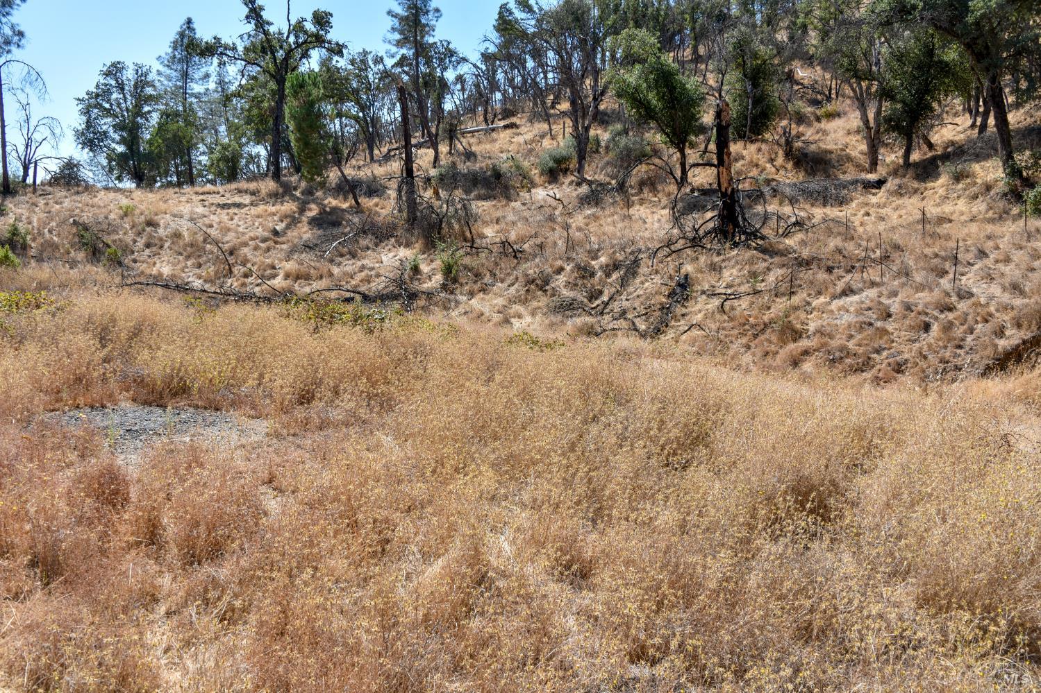 6003 Wragg Canyon Road Napa, CA 94558 - Photo 14 of 16 Gallery Image 14