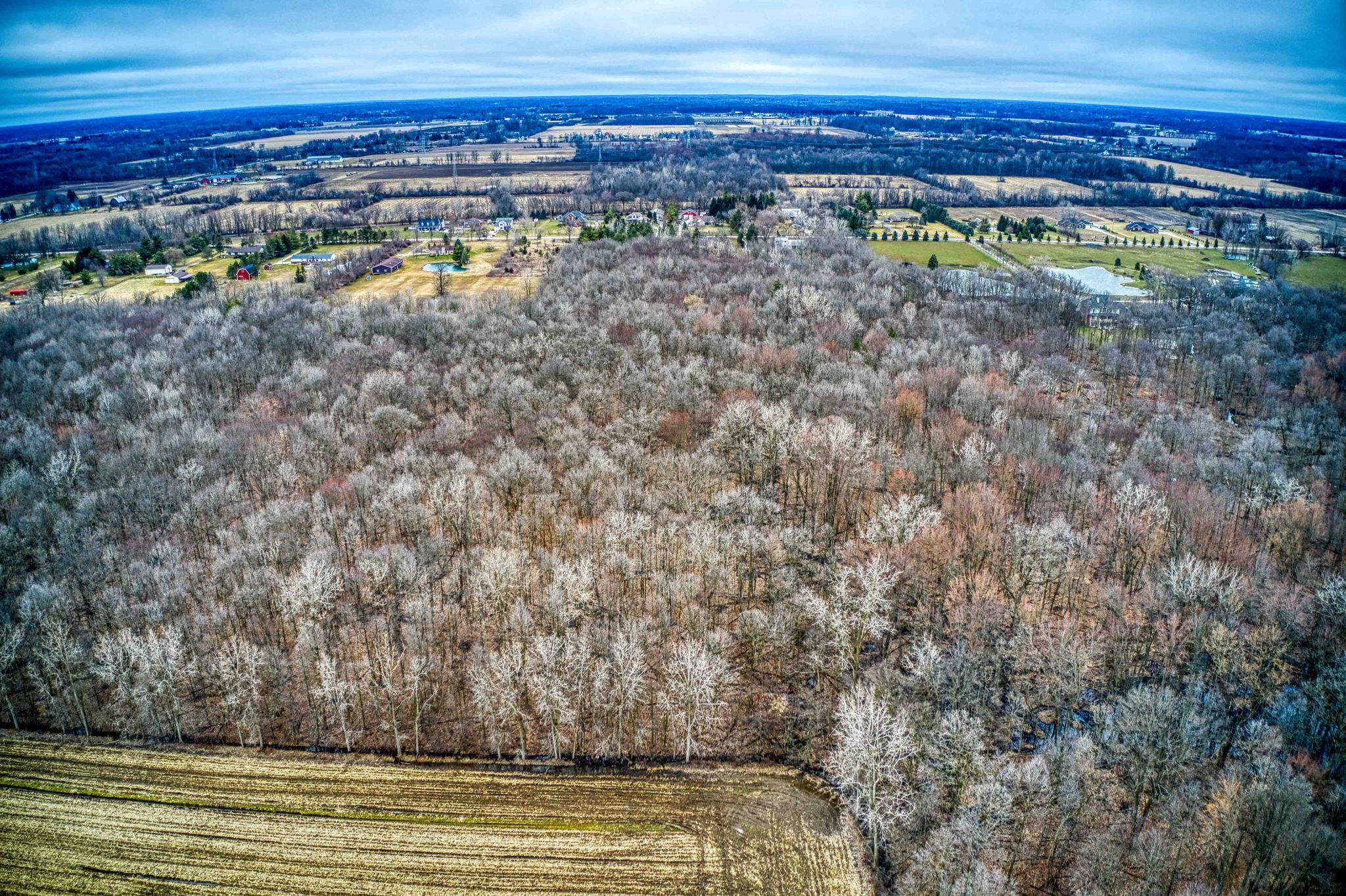 0 33 33 Mile Road Armada, MI 48005 - Photo 6 of 11