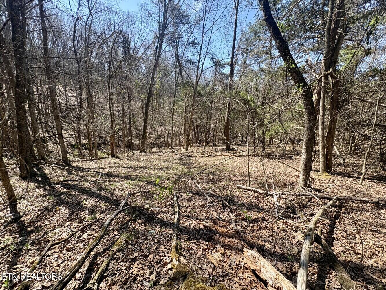 456 Geisler Road Piney Flats, TN 37686 - Photo 14 of 16 69d3e44b650b0