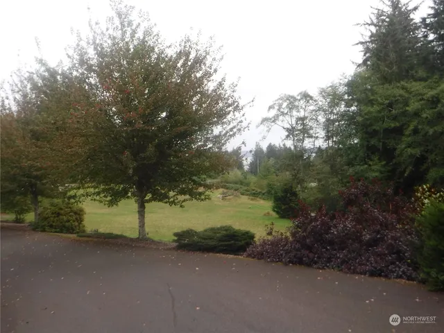 a view of a road with a yard and mountain view