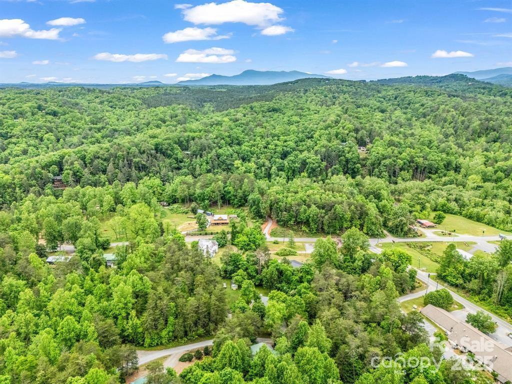 112 Bills Creek Road Lake Lure, NC 28746 - Photo 35 of 42 a view of a green yard