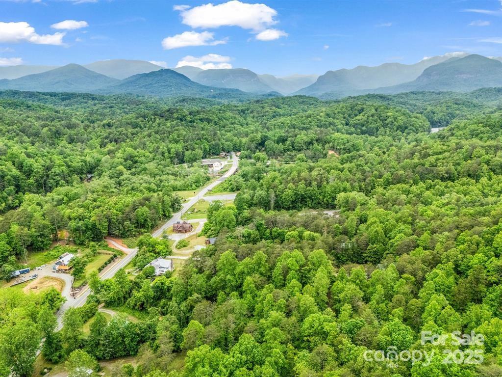 112 Bills Creek Road Lake Lure, NC 28746 - Photo 36 of 42 a view of a lush green hillside and a building in the background