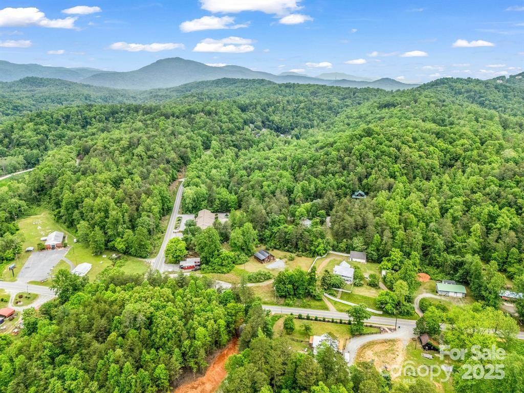 112 Bills Creek Road Lake Lure, NC 28746 - Photo 38 of 42 a view of a garden