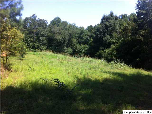 Hidden Ridge, Unit 32 Chelsea, AL 35043 - Photo 2 of 5