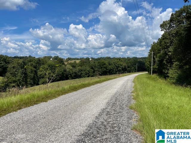 95 County Road, Unit 26 78 Wedowee, AL 36278 - Photo 4 of 10