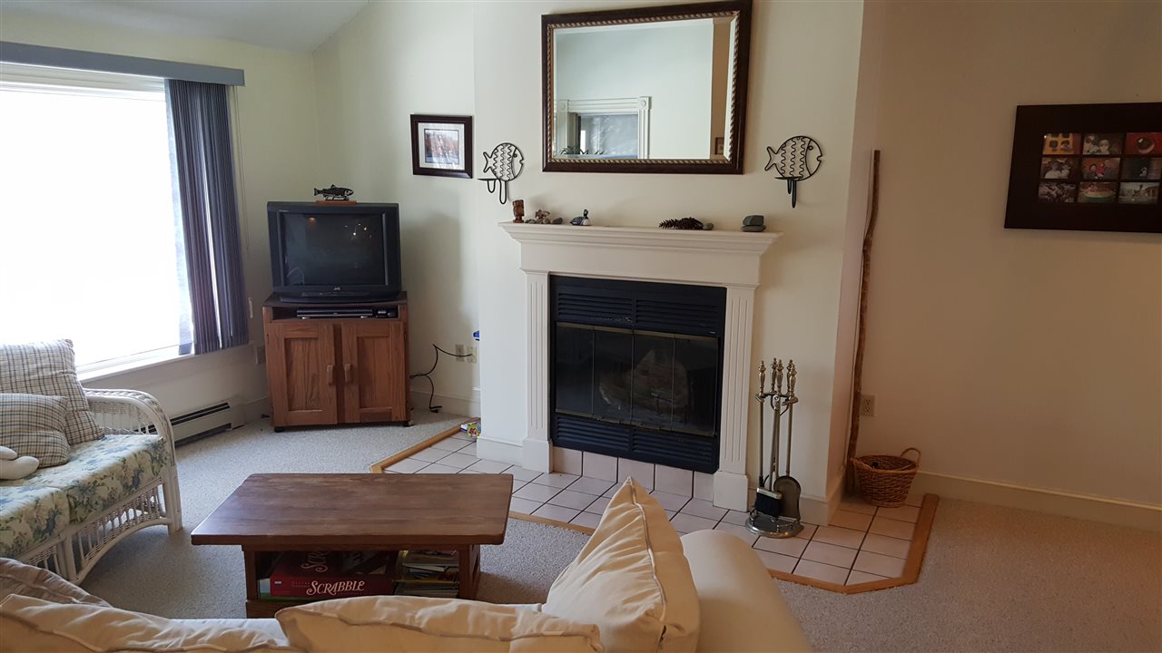 27 Bartlett Pl Road, Unit 27 Bartlett, NH 03812 - Photo 3 of 24 Gallery Image 3