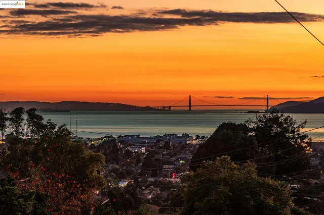 a view of a city with lush green space