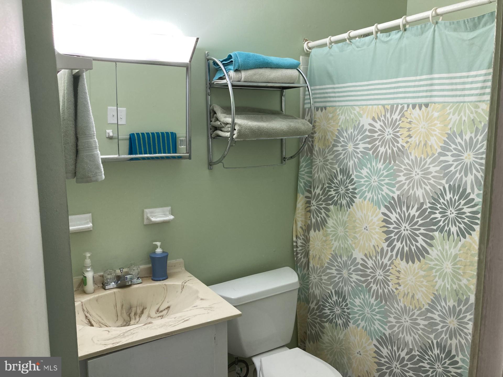 2310 Sun Valley Circle, Unit 1D Silver Spring, MD 20906 - Photo 20 of 20 a bathroom with a sink toilet and shower