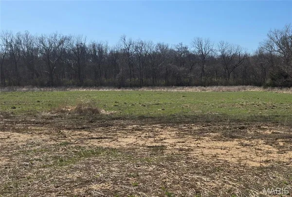 $312,500 | 221 Sycamore Creek Drive, Winfield, MO 63389