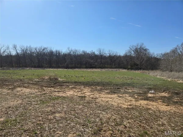 $312,500 | 221 Sycamore Creek Drive, Winfield, MO 63389