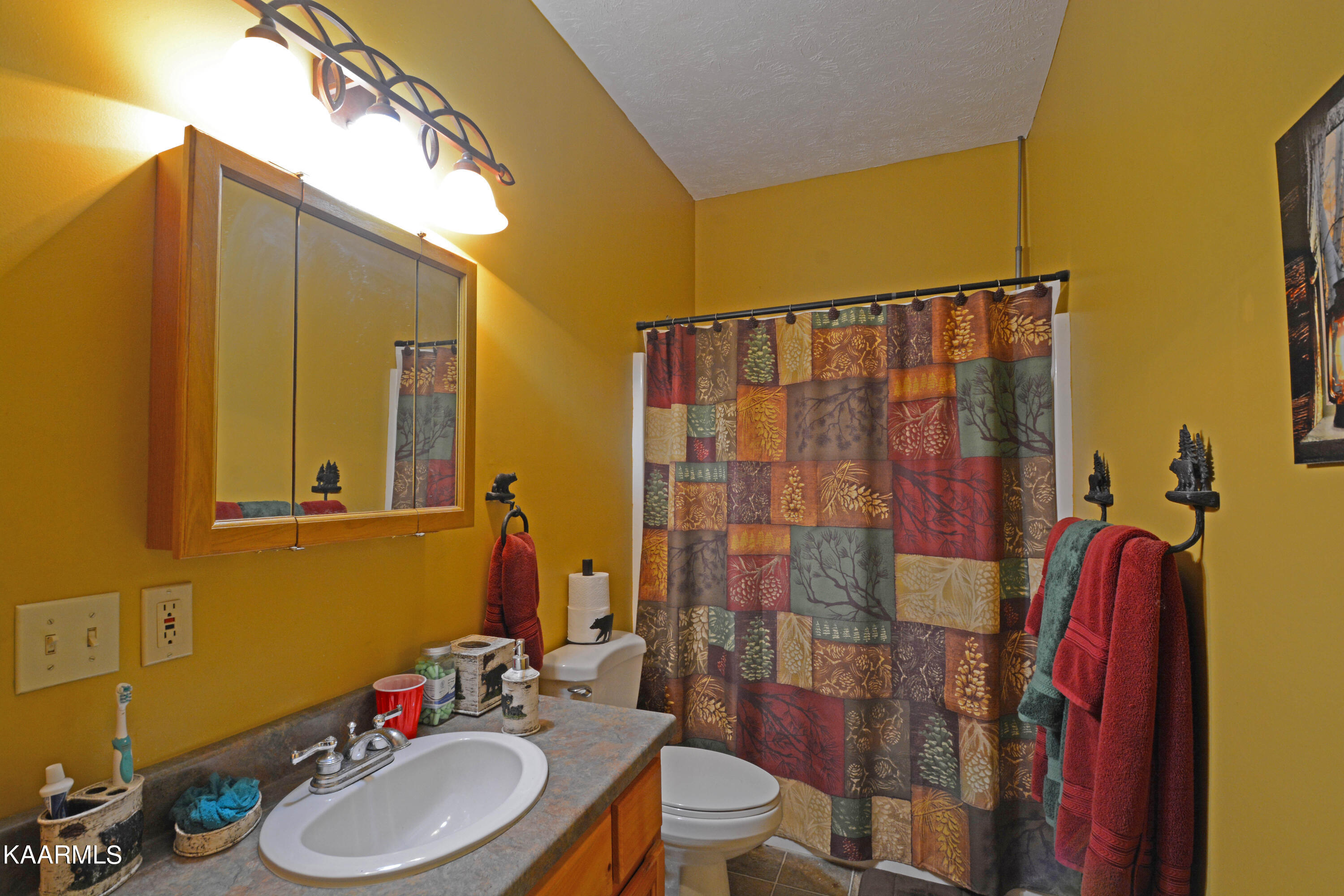 415 P A Proffitt Road Gatlinburg, TN 37738 - Photo 19 of 30 1st Floor Bathroom
