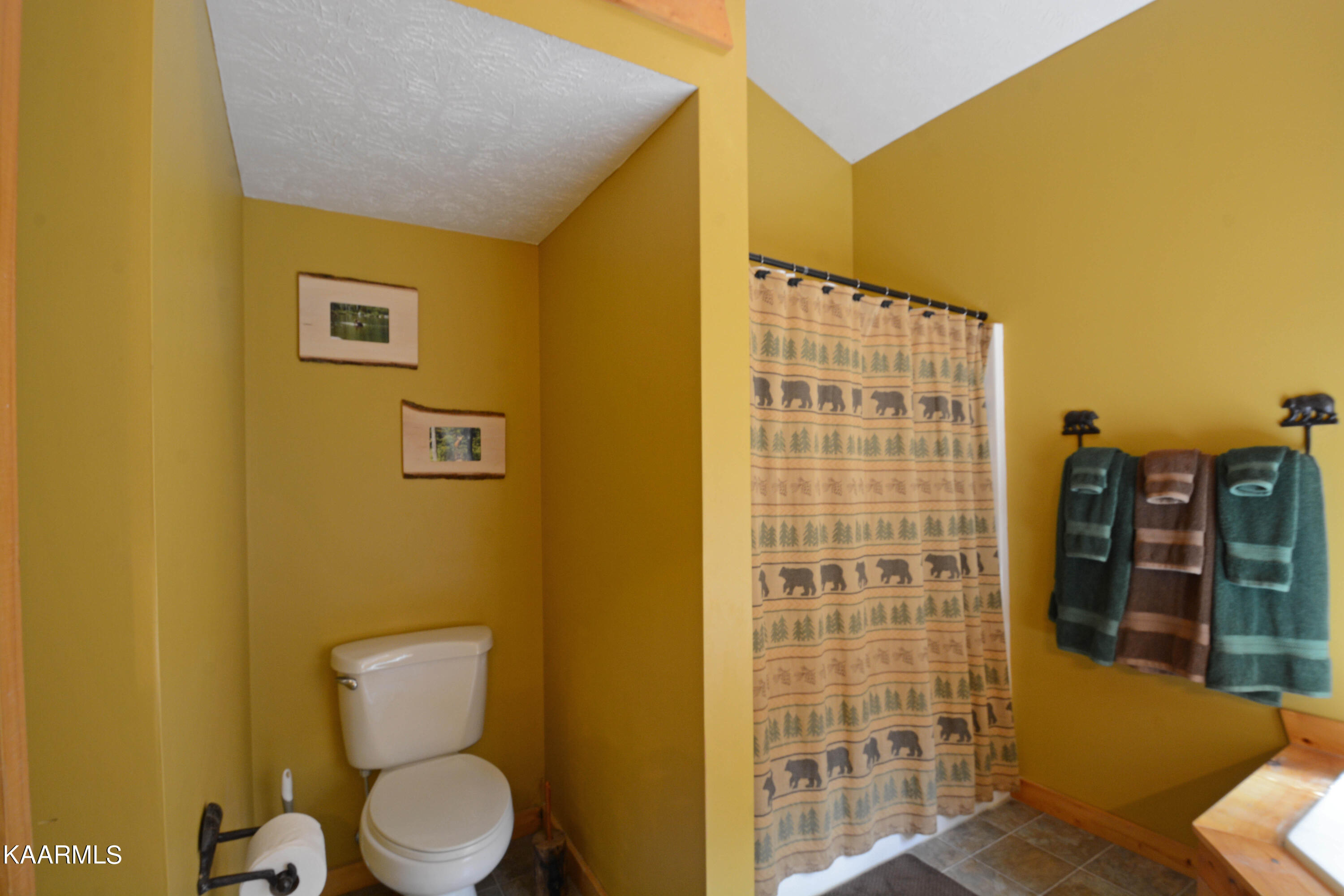 415 P A Proffitt Road Gatlinburg, TN 37738 - Photo 27 of 30 Top Floor Bathroom 4