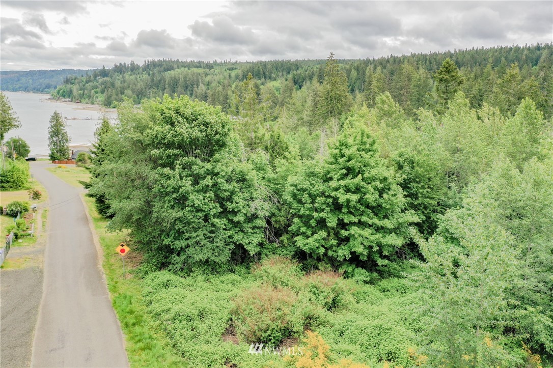 440 Orre Nobles Road Union, WA 98592 - Photo 2 of 30 Gallery Image 2