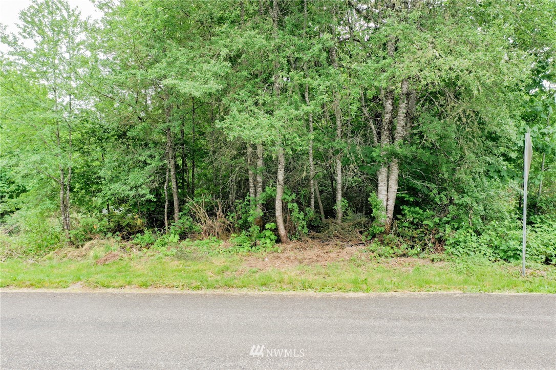 440 Orre Nobles Road Union, WA 98592 - Photo 7 of 30 Gallery Image 7