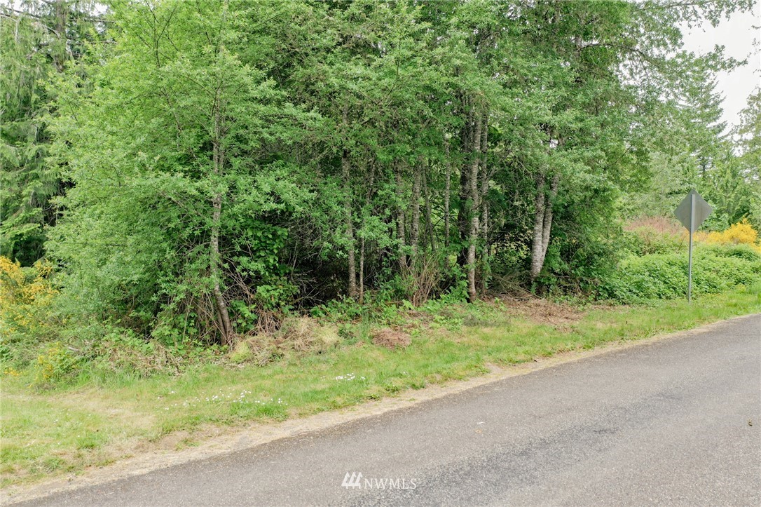 440 Orre Nobles Road Union, WA 98592 - Photo 8 of 30 Gallery Image 8