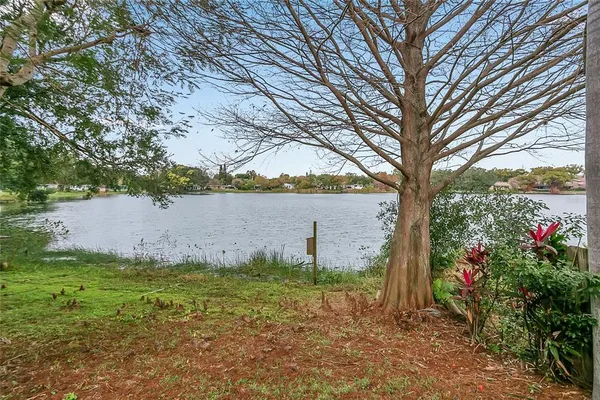 a view of a field with large tree