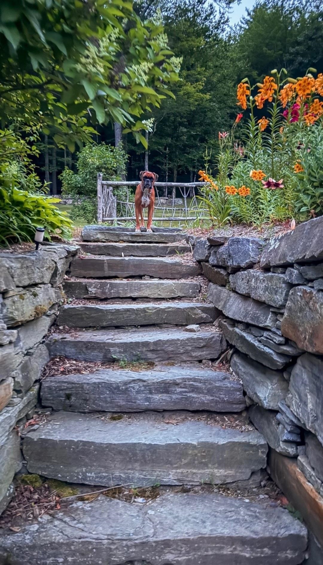 35 Old Rte 103 Rockingham, VT 05143 - Photo 61 of 62