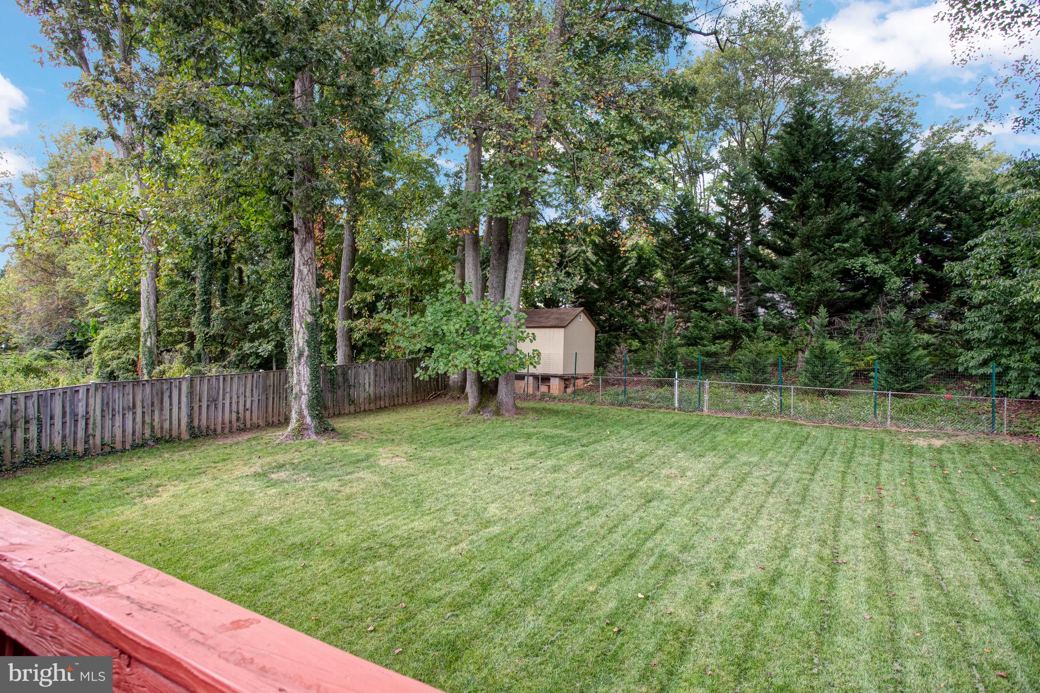 5775 Heming Avenue Springfield, VA 22151 - Photo 74 of 88 Back yard