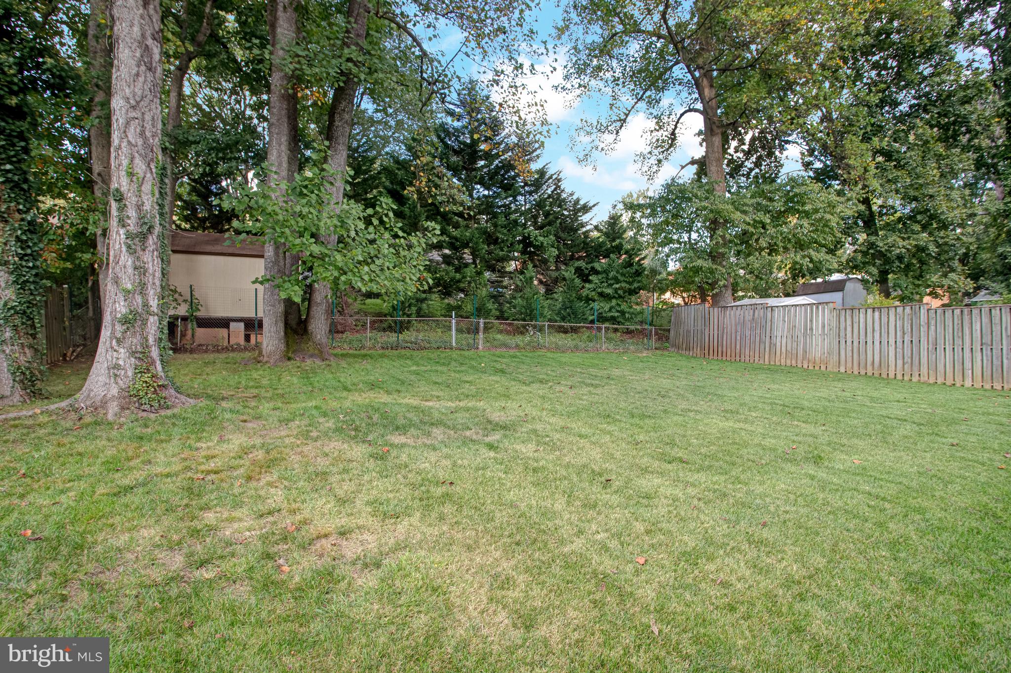 5775 Heming Avenue Springfield, VA 22151 - Photo 81 of 88 Back yard