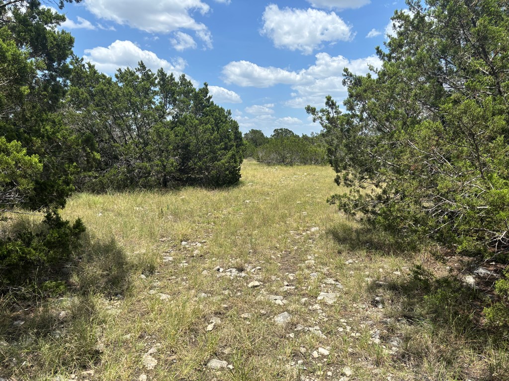 1815 Cr 310 Rocksprings Tx 78880 Rocksprings, TX 78880 - Photo 4 of 11