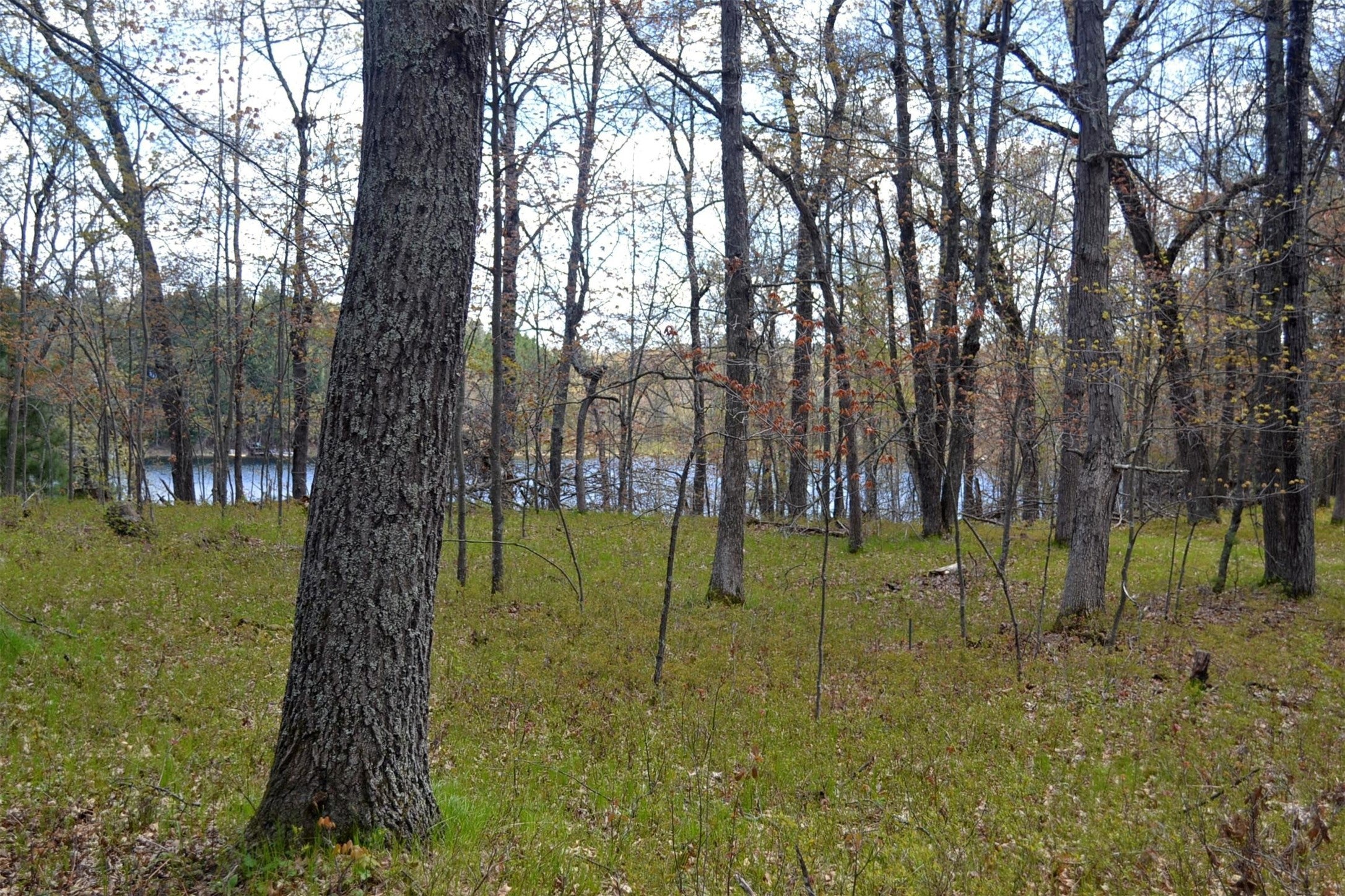 1391 Dock Lake Road Spooner, WI 54801 - Photo 21 of 21 Gallery Image 21