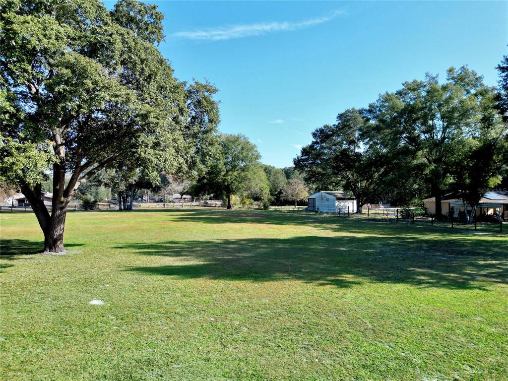 2975 Southeast 159th Lane Road Summerfield, FL 34491 - Photo 5 of 6 a view of a big yard with a large trees