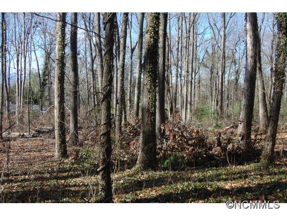 51 Rathfarnham Road, Unit 10 Arden, NC 28704 - Photo 1 of 2 Gallery Image 1