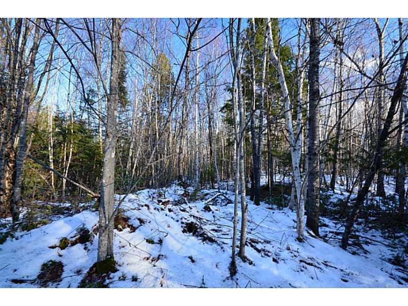 700 Hale Farm Road Lee, ME 04455 - Photo 6 of 22 Land/Lot.