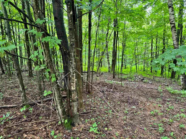 $44,900 | 0 Morin Drive, Unit LOT 6R, Jay, VT 05859