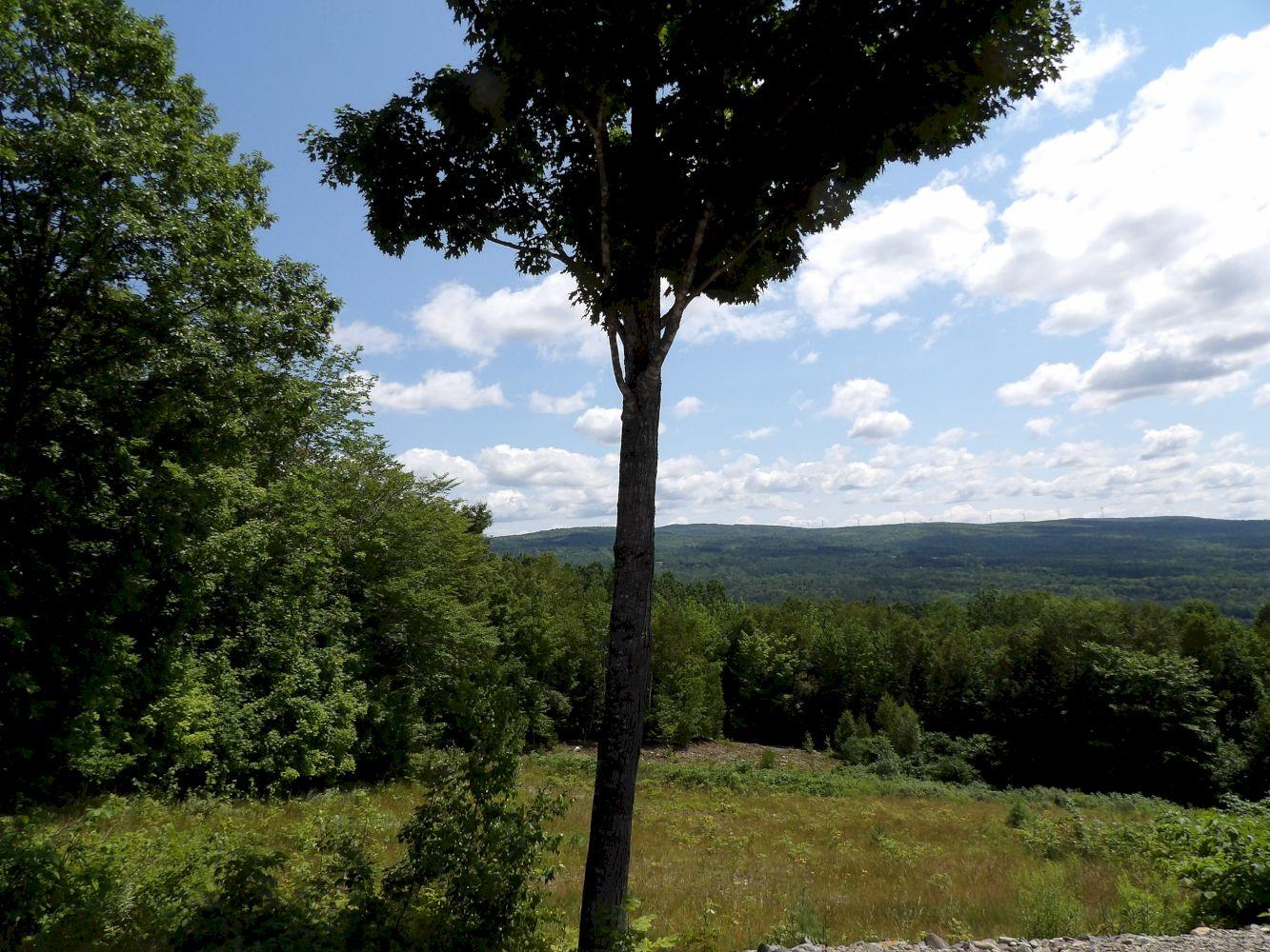 149 Donigan Road Moscow, ME 04920 - Photo 6 of 50 101_1113