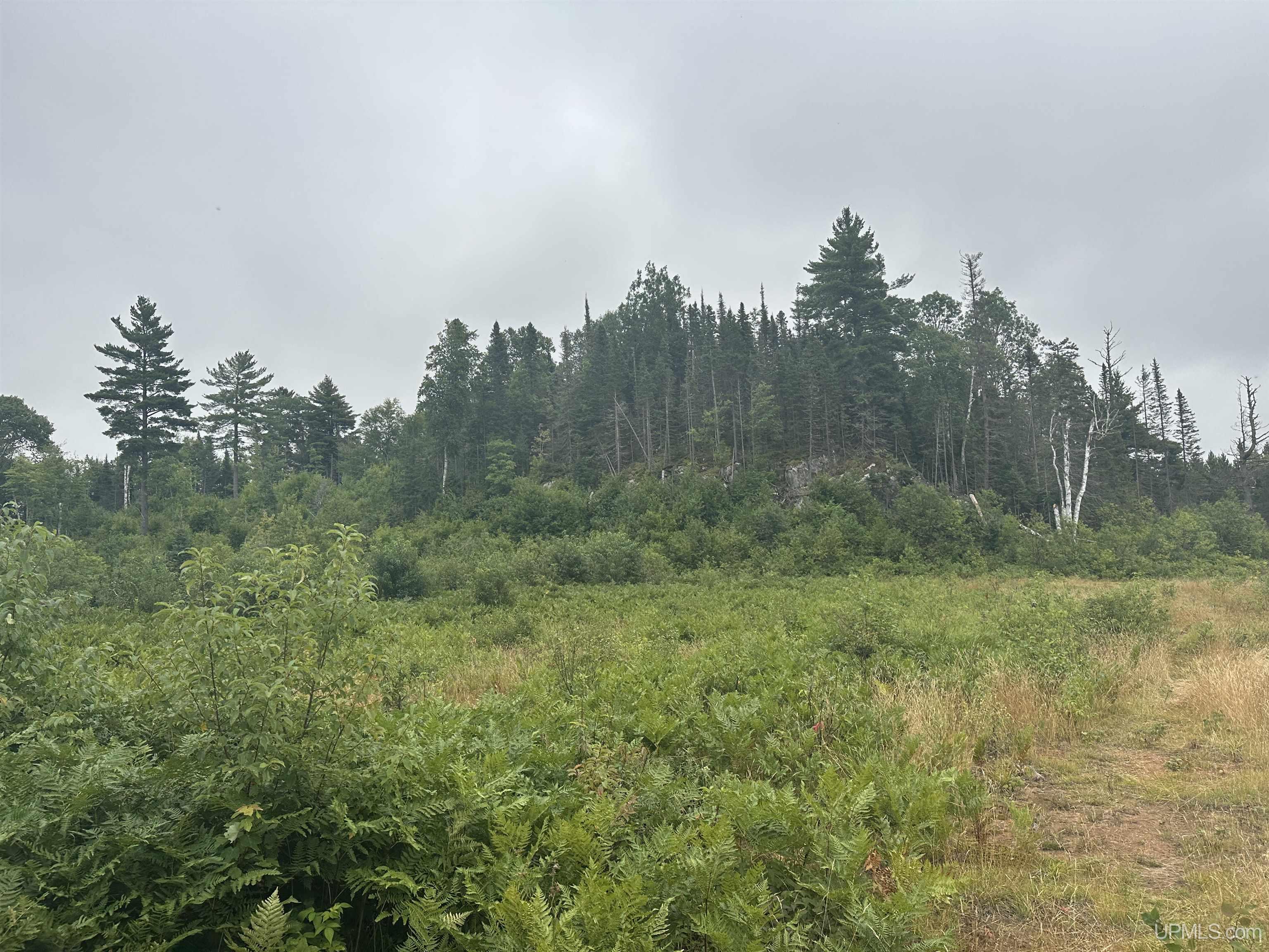 Off South Arfelin Lake Road Michigamme, MI 49861 - Photo 6 of 16