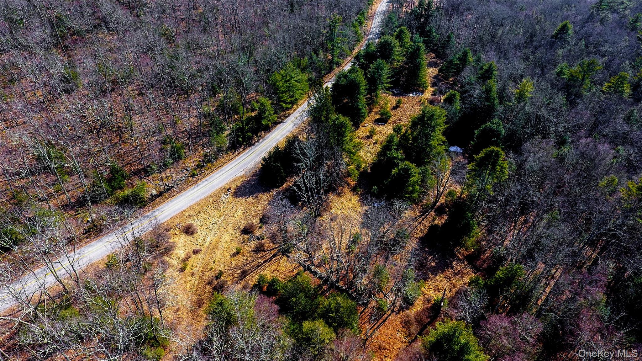 1021 Pine Kill Road Wurtsboro, NY 12790 - Photo 14 of 34 note the original home site in proximity to Pine Kill Rd