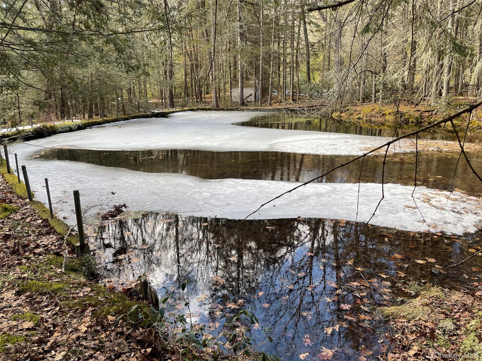 1021 Pine Kill Road Wurtsboro, NY 12790 - Photo 14 of 37 trout pond, fed by artesian well