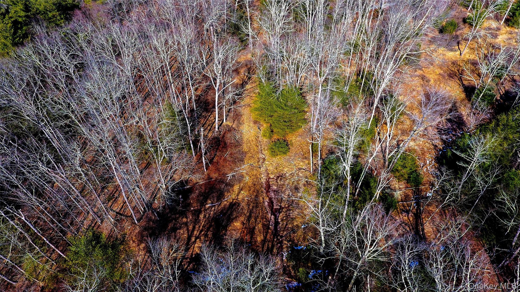 1021 Pine Kill Road Wurtsboro, NY 12790 - Photo 15 of 37 Bird's eye view with a wooded view