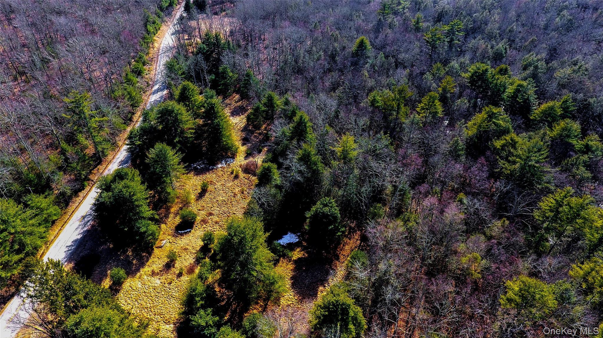 1021 Pine Kill Road Wurtsboro, NY 12790 - Photo 15 of 34 a view of a forest