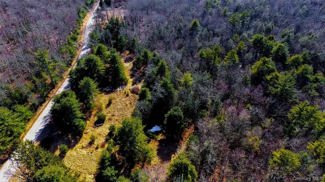 $899,000 | 1021 Pine Kill Road, Wurtsboro, NY 12790