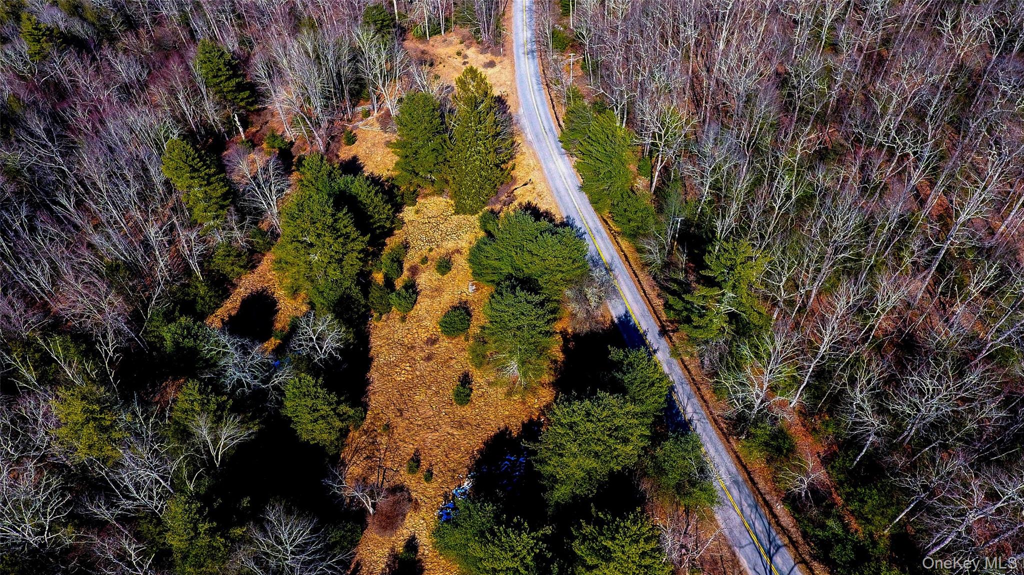 1021 Pine Kill Road Wurtsboro, NY 12790 - Photo 18 of 37 open area near road