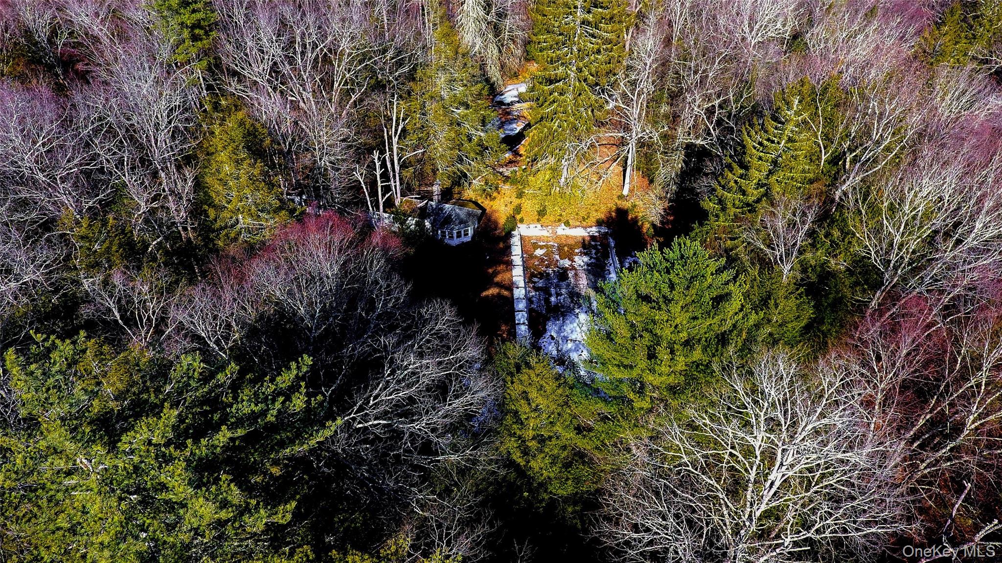 1021 Pine Kill Road Wurtsboro, NY 12790 - Photo 18 of 34 old huge concrete inground pool